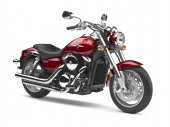 2009 Kawasaki Vulcan 1600 Mean Streak photo